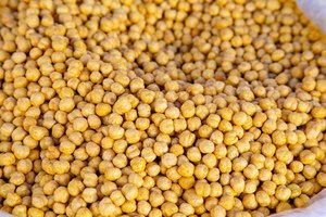 Pois secs biologiques de qualité supérieure en gros, 10 kg, durée de conservation de 2 ans - Product Image 4