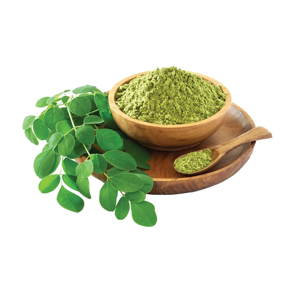 Approvisionnement d'usine en gros poudre de moringa pure poudre de feuille de Moringa extrait de graines bon pour la santé poudre de Moringa à picorer personnalisée