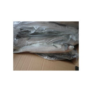 Mullet congelado WR, suministro al por mayor, precio económico, pescado de primera calidad - Product Image 2