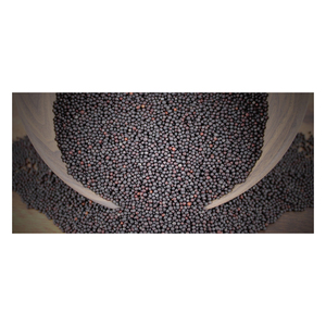 Graines de canola de catégorie d'exportation offertes pour l'expédition sûre avec des normes de qualité cohérentes - Product Image 5