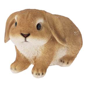 Leprotto Resin Crafts 1pc 795420080 Fiche technique pour Koopman Leprotto - Product Image 1