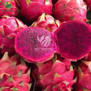 Fruit du dragon surgelé biologique certifié ISO, eau emballée en vrac préservée, goût sucré naturel, fournisseur de poids de type commun - Product Image 6