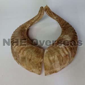 Cuerno de carnero natural Masticables para perros Seguro No tóxico Saludable Larga duración Todas las golosinas naturales para masticar para perros - Product Image 6