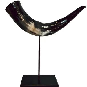 Par de cuerno de búfalo de alta calidad para arte de pared de estilo Animal decorativo para puerta de Montaña de la India - Product Image 3