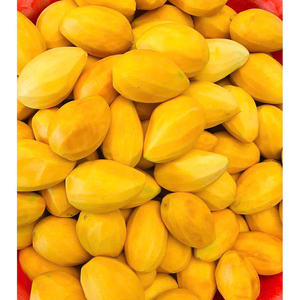 MANGUE CONGELÉE QUALITÉ DE QUALITÉ SUPÉRIEURE FRUITS TROPICAUX NATURELS VENTE EN GROS PRODUIT D'EXPORTATION HOT DEAL TOP VENTES - Product Image 6