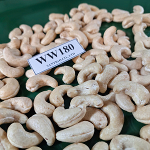 เม็ดมะม่วงหิมพานต์ W180ไม่เท่ากัน W180ตัดขนาดได้ - Product Image 1