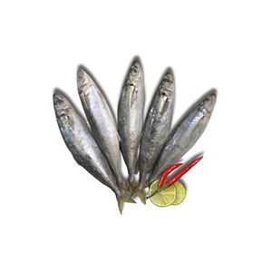 Poisson scad à ailerons courts entier frais congelé, poisson layang, IQF BQF, durée de conservation de 24 mois, emballage sous vide en vrac, -18°C, en provenance du Vietnam - Product Image 3