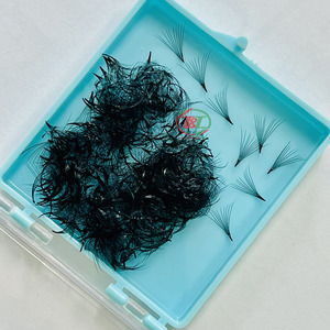 Extensión de pestañas de visón de Vietnam, pestañas sueltas, pestañas en abanico, embalaje Premium, cajas de pestañas personalizadas, extensión de pestañas de Vietnam - Product Image 4