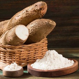 Proveedor superior de almidón de tapioca de buena calidad para hornear y polvo de Yuca de grado industrial de Vietnam - Product Image 5
