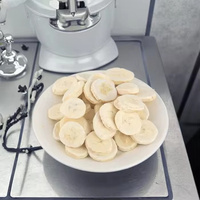 Groothandel Gedroogde Bananenplakjes Natuurlijk Knapperig Fruit Snack Bulk Leverancier OEM Private Label
