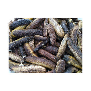 Concombre de mer séché de qualité à l'exportation séché au soleil emballé nettoyé océan sauvage récolté fournisseur en vrac de qualité supérieure fruits de mer de qualité naturelle - Product Image 4