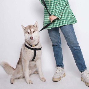 สายจูงสุนัขแบบมีไฟติดโลโก้ทำจากหนังและไนลอนปรับสีได้ตามต้องการ - Product Image 4