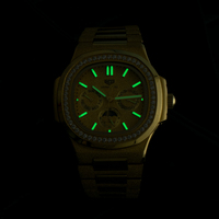 Reloj de Lujo GFL-JR005 con Manecillas Luminosas, Reloj de Hombre de Acero Inoxidable, Relojes de Pulsera Mecánicos de Moda, OEM ODM