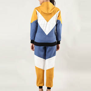 Ensemble de survêtements d'hiver décontractés à capuche pour femmes, style 2024, nouvelle collection, motif uni, 100 % coton, respirant, séchage rapide, long - Product Image 2