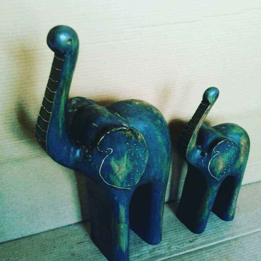 สีดำสีกากี