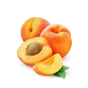 100% Pure and Natural GMP Certified Apricot kernel Oil Factory Supply Organic Apricot kernel Oil