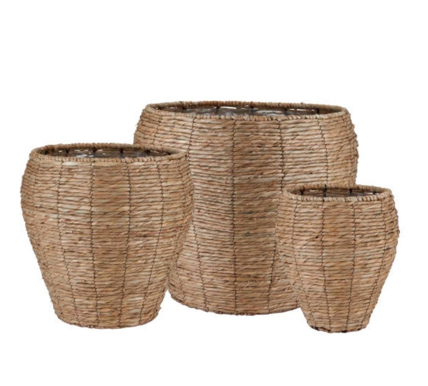 ธรรมชาติ