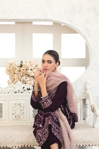 Vestidos de invierno 2024 más vendidos para mujer Salwar Kameez señoras terciopelo bordado de alta calidad Shalwar Kameez - Product Image 2