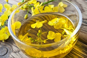 Aceite de Canola Orgánico Refinado al por Mayor, Certificado ISO, Grado Superior para Consumo Humano - Austria - Product Image 4