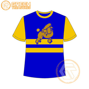 Vente en gros de t-shirt Sigma Gamma Rho pour femmes vêtements de sororité jersey de coton t-shirt respirant de haute qualité vêtements grecs pour femmes - Product Image 5