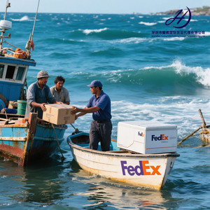Agente de Frete Expresso UPS DHL FEDEX + Frete Aéreo da China para Reino Unido, Alemanha, França, Canadá, Arábia Saudita, Austrália e Brasil Frete Marítimo - Product Image 6