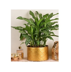 Lot de 3 jardinières en cuivre pur faites à la main avec motif de fleurs en pierre de diamant antique de bonne qualité Style mignon jardin fête de mariage - Product Image 4