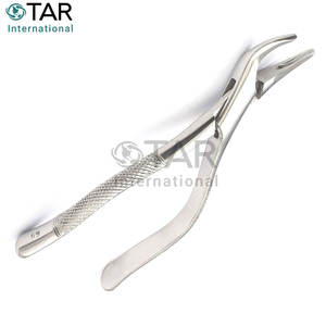 คีมดึงออกทางทันตกรรม #69 7 "เครื่องสกัดรากฟันสเตนเลสสตีลเครื่องมือทางการแพทย์เกี่ยวกับฟันสัตวแพทย์ - Product Image 4