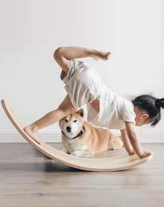 Planche d'équilibrage en bois | Entraîneur d'équilibre de qualité supérieure pour le fitness et le plaisir de VIET FARGIMEX - Product Image 3