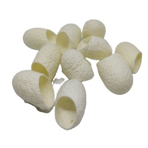Capullo de Seda Orgánico Biodegradable con Colágeno para el Cuidado Facial - Ecológico, Corte 1/3 - Product Image 3