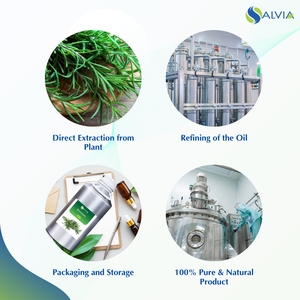 Huile essentielle de romarin pur au meilleur prix - Product Image 4