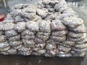 ผงอาหารปลาสำหรับอาหารสัตว์ผงจากเวียดนาม - Product Image 4