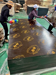 Meilleure qualité 4X8ft 15/18mm écologique réutilisable 10 fois E1 Film arrière standard face contreplaqué usine directe du Vietnam - Product Image 3