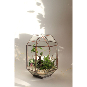 Terrario de Vidrio de Lujo, Maceta Decorativa, Mini Invernadero con Marco de Metal, Decoración de Jardín Interior, Juego de Macetas de Vidrio para Exhibición - Product Image 3