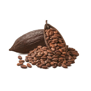 Granos de Cacao Crudos Secos Ariba de Origen Estadounidense con 2 Años de Vida Útil - Product Image 1