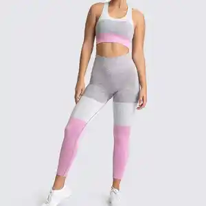 Desain kustom pakaian Gym wanita dua potong Legging dan Set Bra penjualan laris Set Yoga wanita pakaian olahraga Set Yoga Fitness seksi