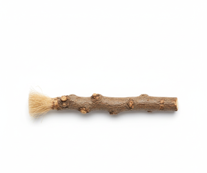 BioRise Herbal Wooden Tooth <b>Stick</b> Organic Whitening Gum Strength Eco Friendly Dental Hygiene Natural Oral Cleaning <b>Miswak</b> - Product Image 5