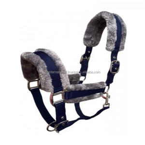 Licol pour cheval en nylon réglable multicolore rembourré en polaire Rugged Ride en taille pleine cob avec anneaux de boucle en acier inoxydable - Product Image 3