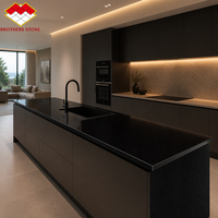 Dalle de granit noir Nero Assoluto de Chine pour comptoirs de cuisine, design moderne, certifiée CE/ISO, garantie de 2 ans