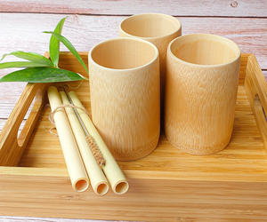 Taza de café/agua de bambú ecológica de alta calidad para obsequios fabricada por Eco2go Vietnam - Product Image 4