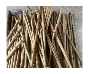 Prix de gros Poteau de canne en bambou Matériau naturel écologique de haute qualité Usine du Vietnam Fourniture directe à l'exportation - Product Image 5