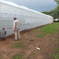 Serre agricole multi-chapelles avec système hydroponique complet NFT, système de refroidissement et système de chauffage