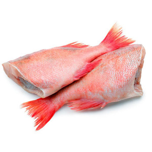 Poisson snapper surgelé IQF de haute qualité avec une durée de conservation de 12 mois à vendre - Product Image 4