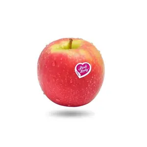 Vente en gros de fruits frais de saison naturels sans OGM de haute qualité du Brésil pommes rouges douces fraîches/pommes de dame rose pour la nourriture