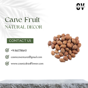 Flores Secas Cósmicas de Buena Calidad, Ramo de Flores Secas Naturales para el Día de la Madre, Decoración de Bodas - Product Image 3