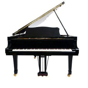 Instrumento personalizable de grado DIY de piano de cola negro C7 de alta calidad con soporte OEM para estudios - Product Image 4