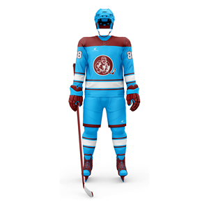 Uniformes de hockey sur glace de style dernier cri de qualité supérieure avec pantalons de hockey sur glace chaussettes de hockey et numéros d'appliques 280 GSM - Product Image 2