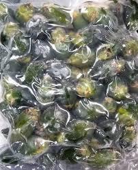 TUERCA BETEL PURA CONGELADA/ETIQUETA LIMPIA/BASADA EN PLANTAS/ORIGEN NATURAL - Product Image 2