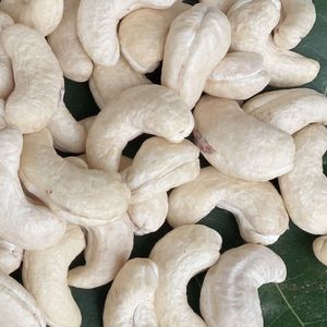 Best Rate Cashew <b>Nut</b> In Tin Can W180 Commercial Quality Santigo Vietnam Factory Wholesale Exported To Eu, Middle East - Product Image 1