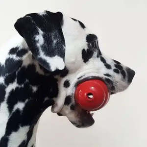 Juguete Ecológico de Lujo para Perros Kong, Pelota Interactiva para Mascotas Hecha de Goma, Algodón y Plástico, para Jugar con Gatos - Product Image 4