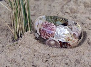 ASKING Bijoux Résine Acrylique Bracelet Bracelet Exagéré Éblouissant Multicolore Large Irrégulier Carré Acrylique Bracelets pour Femme - Product Image 2